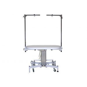 GroomX - Tavolo elettrico con asta rotante ovale