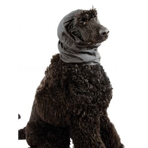 Show Tech - Paraorecchie nero lucido - Taglia unica