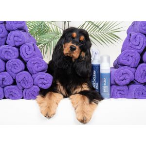 SHOW TECH PLUS MOUSSE SHAMPOO A SECCO 200 ML 