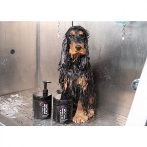 SHOW TECH BALSAMO  BLOSSOM BLOOM 1 LT