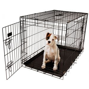 Show Tech - Trasportino Nero