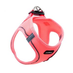 Colley - Pettorina Hairmesh