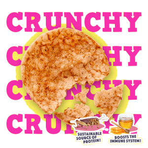 SMOOFLE POPS CRICKET-HONEY *9