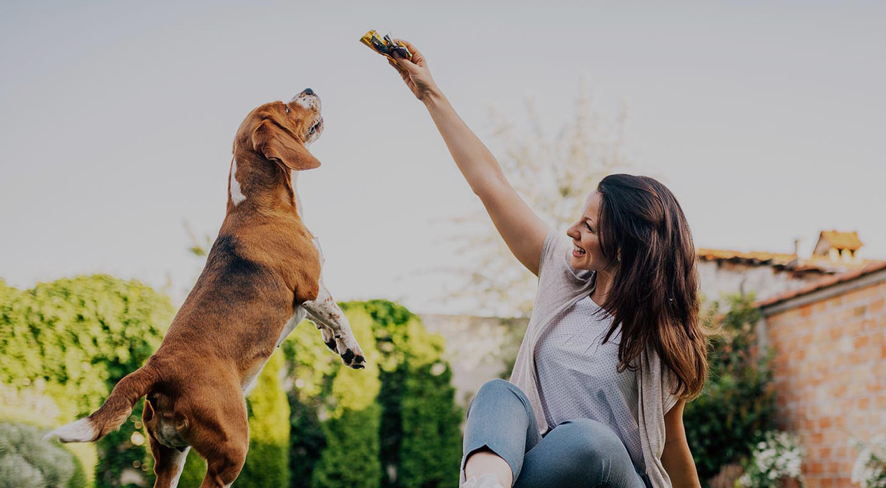 prodotti per animali domestici online