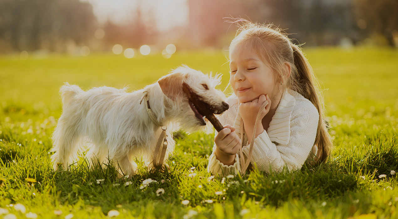 prodotti per animali domestici